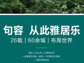 句容房產(chǎn)交易全方位指南 樓盤(pán)、二手房及專(zhuān)業(yè)中介服務(wù)網(wǎng)絡(luò)解析